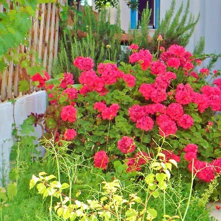 Hotel de apartamente Dream Island Livadia (Tilos)