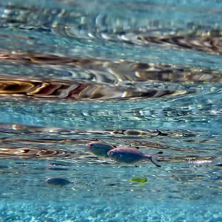 Апарт-отель Dream Island