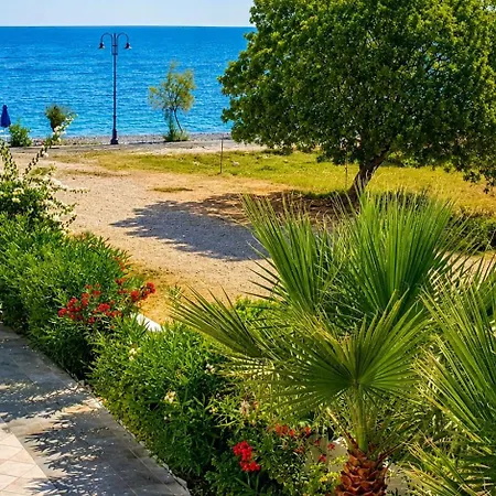 Dream Island