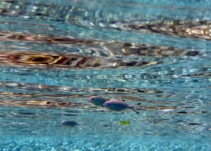 Apartahotel Dream Island