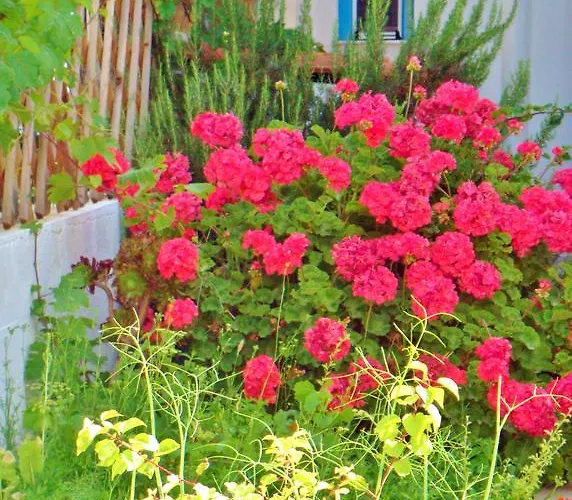 Apartahotel Dream Island Livadia (Tilos)